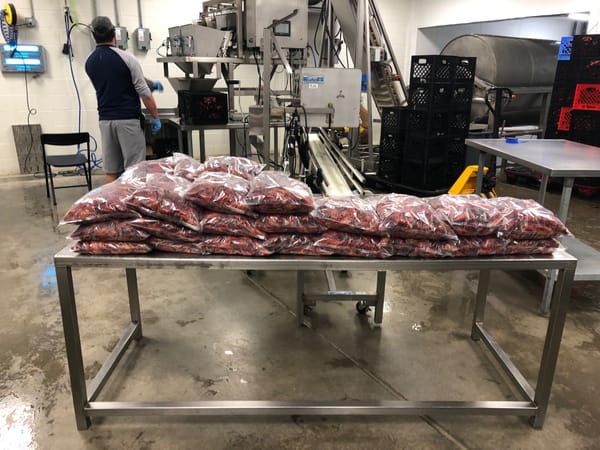 Plastic bags filled with crawfish stacked on a metal table in a processing facility.
