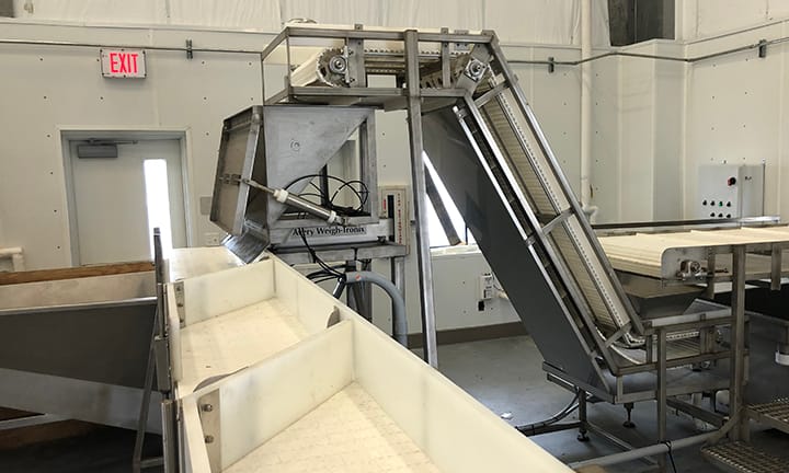 Industrial conveyor system with white belts in a warehouse processing facility