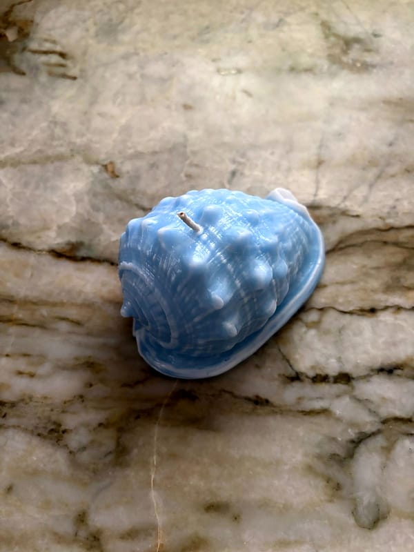 Blue-and-white Small Conch sculptural candle on natural marble.