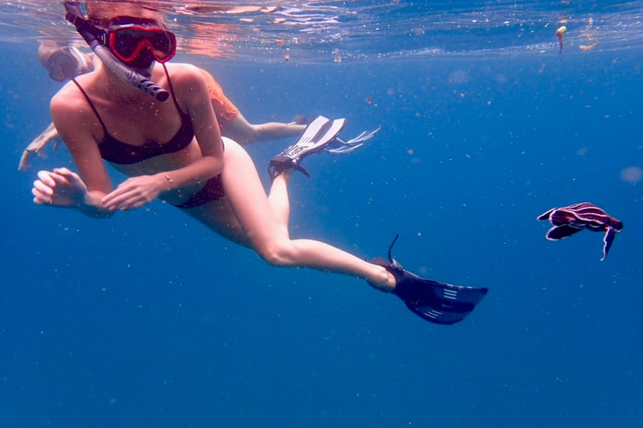 Snorkeling in Tobago with sea turtle in clear Caribbean waters