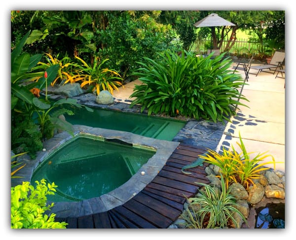 Cocoloco Villa private pool and tropical gardens