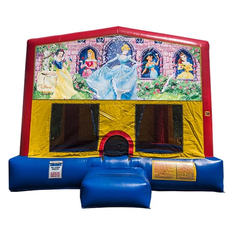Disney Princess Bouncer