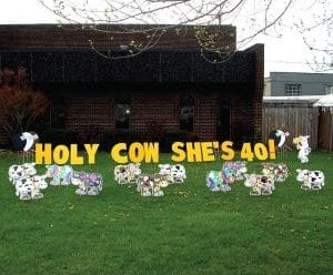 Holy Cow Theme