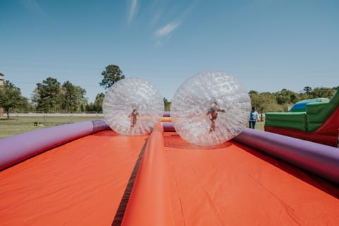 Zorb Ball Racing