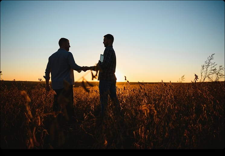 Two people shaking hands in a field