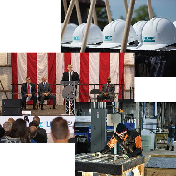 BRF annual report covers